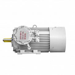 Электродвигатель 2АИМУР 315 М4 У2,5 660/1140В, класс изоляции Н, PBExdI Мb, РТC (статор), клеммная коробка сверху, подшипники SKF, 250/1500 IM1001
