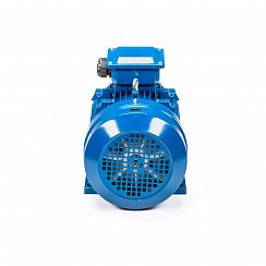 Электродвигатель 5АИ 132 S6 5,5/1000 IM1081