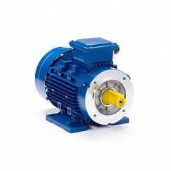 Электродвигатель ESQ 63 С2-SDN- 0,37/3000 IMB34