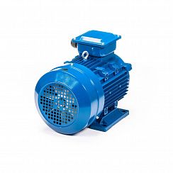 Электродвигатель 5АИ 132 S4 7,6/1500 IM1081