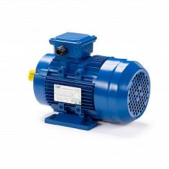Электродвигатель ESQ 63 С2-SDN- 0,37/3000 IMB34
