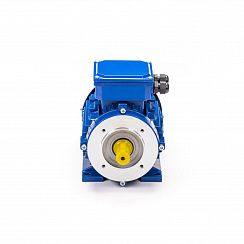 Электродвигатель 5АИ 56 А4 FT85 0,12/1500 IM2181