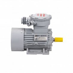 Электродвигатель АИМУР 280 S2 У2,5 380/660В, класс изоляции F, PBExdI Mb, РТС (статор), подшипники SKF, 110/3000 IM1001