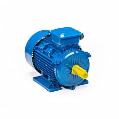 Электродвигатель 5АИ 132 S4 7,6/1500 IM1081