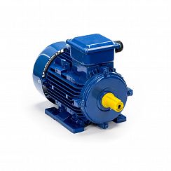 Электродвигатель 5АИ 90 L6 1,5/1000 IM1081