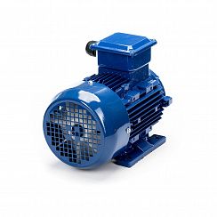 Электродвигатель 5АИ 90 L6 1,5/1000 IM1081