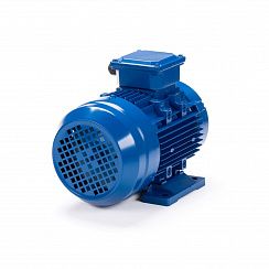 Электродвигатель ESQ 63 С2-SDN- 0,37/3000 IMB34