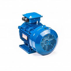 Электродвигатель 5АИ 132 S6 5,5/1000 IM1081