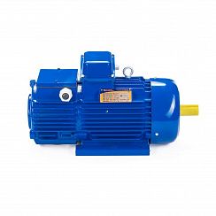 Электродвигатель 4МТН 132 LB6 220/380В 7,5/925 IM2001
