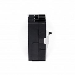 Автоматический выключатель HGM125H 2PT4S0000C 00125F 100-125A ток к.з. 38kA AC380/415В