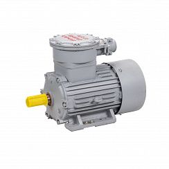 Электродвигатель АИМУР 112 МВ6 У2,5 380/660В, класс изоляции Н, PBExdI Mb, 4/1000 IM1081