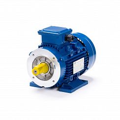 Электродвигатель ESQ 63 С2-SDN- 0,37/3000 IMB34